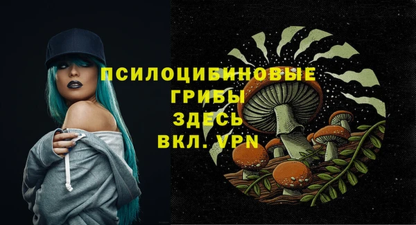 марки lsd Елабуга
